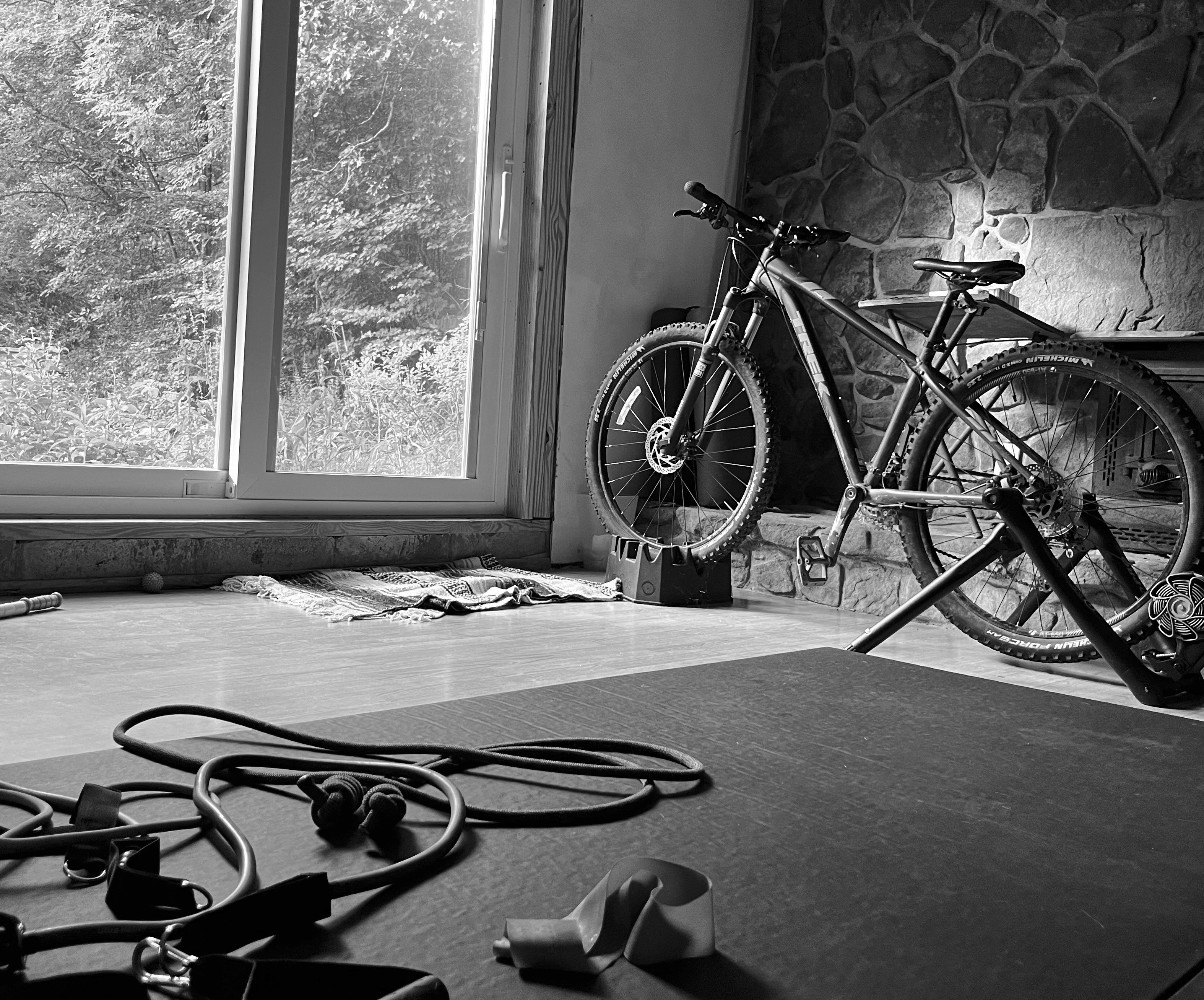 Home Gym